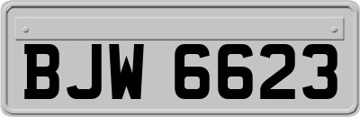 BJW6623