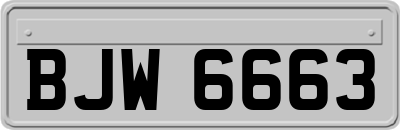 BJW6663