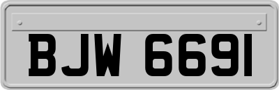 BJW6691