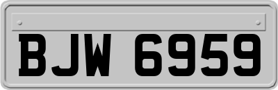 BJW6959