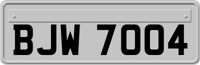 BJW7004
