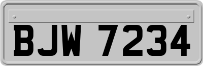 BJW7234