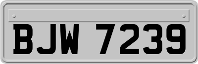 BJW7239