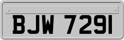 BJW7291