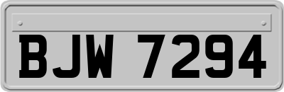 BJW7294