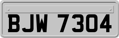 BJW7304