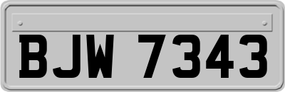 BJW7343
