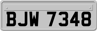 BJW7348