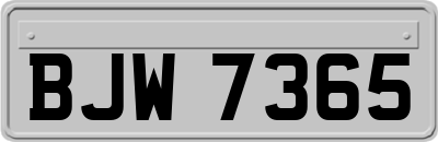 BJW7365