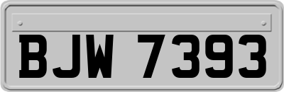 BJW7393