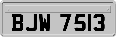 BJW7513