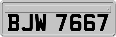 BJW7667