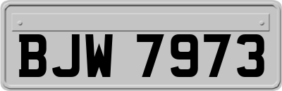 BJW7973