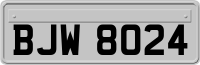 BJW8024