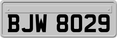 BJW8029