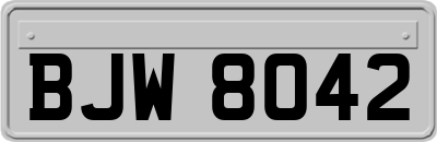 BJW8042