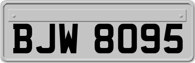 BJW8095