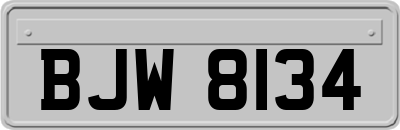 BJW8134