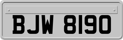 BJW8190