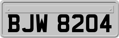 BJW8204