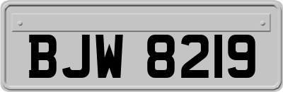 BJW8219