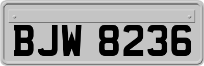 BJW8236