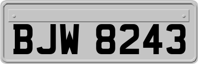 BJW8243