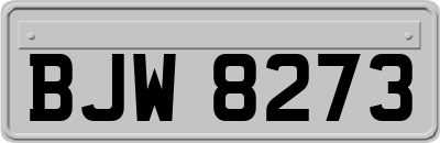 BJW8273
