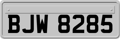 BJW8285