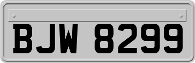 BJW8299