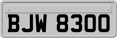 BJW8300