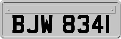 BJW8341