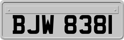 BJW8381
