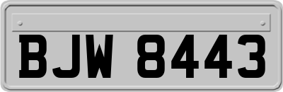 BJW8443