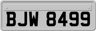 BJW8499