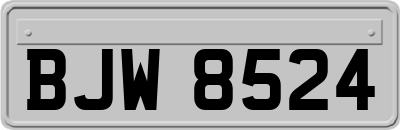 BJW8524