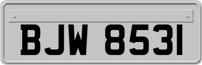 BJW8531