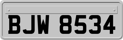 BJW8534