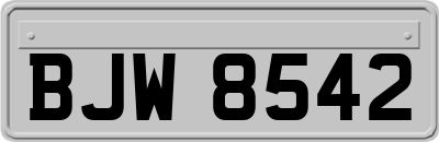 BJW8542