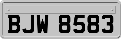 BJW8583