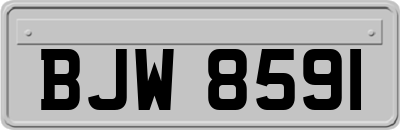 BJW8591