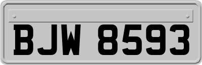 BJW8593