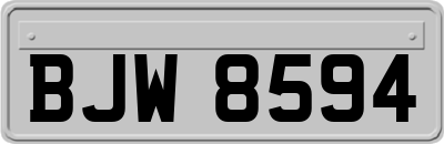 BJW8594
