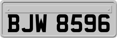 BJW8596