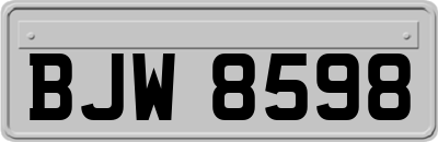 BJW8598