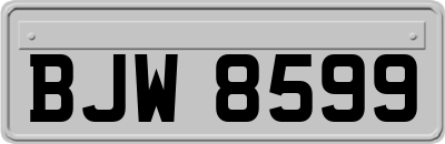 BJW8599