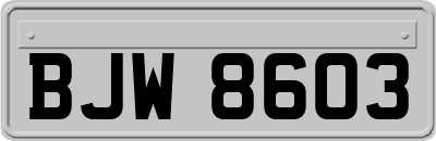 BJW8603