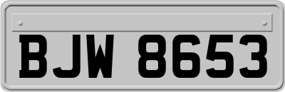 BJW8653