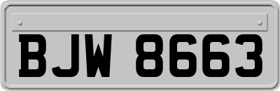 BJW8663