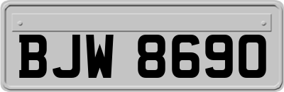 BJW8690